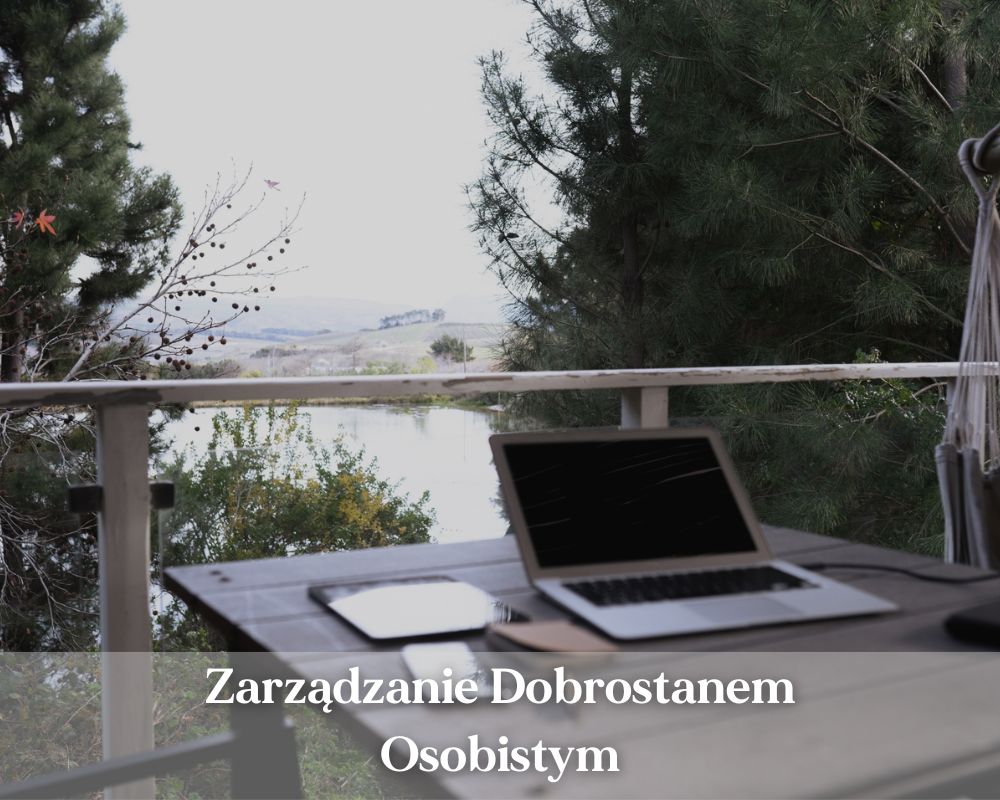 Zarządzanie Dobrostanem Osobistym