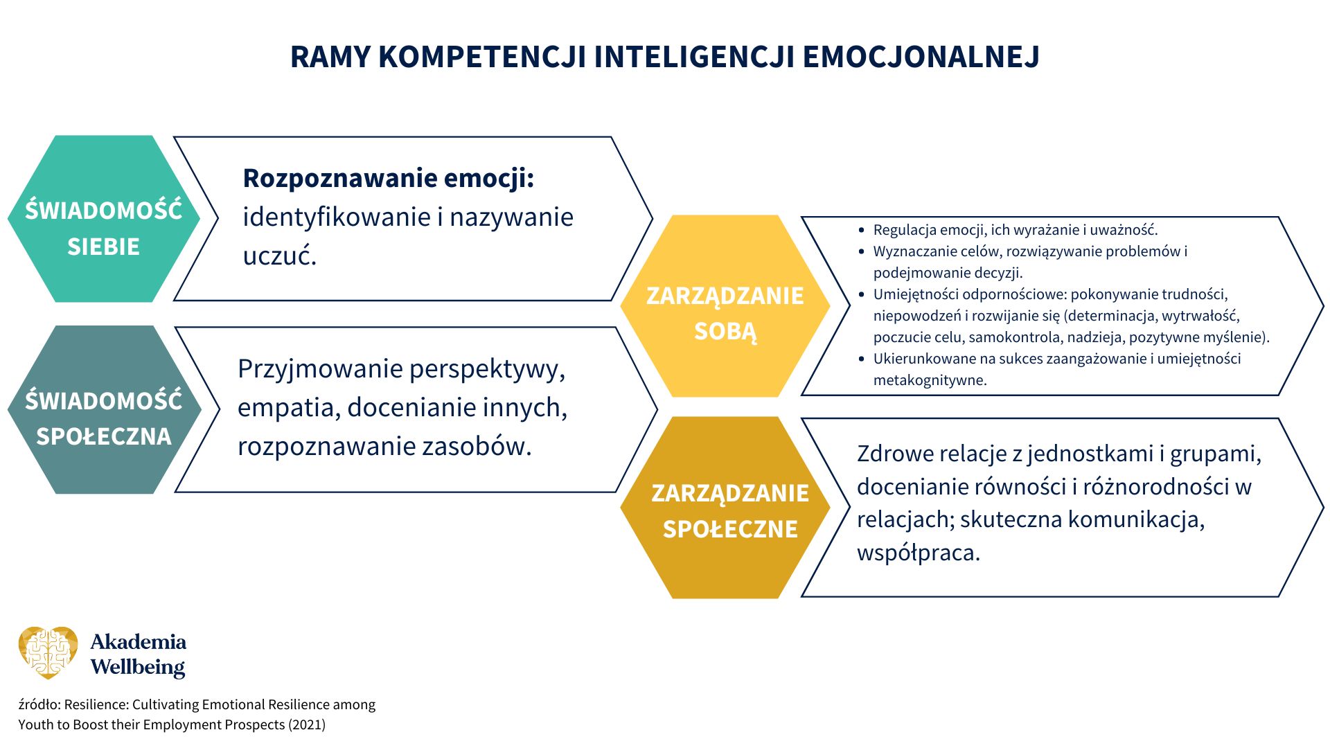 Ramy kompetencji IE